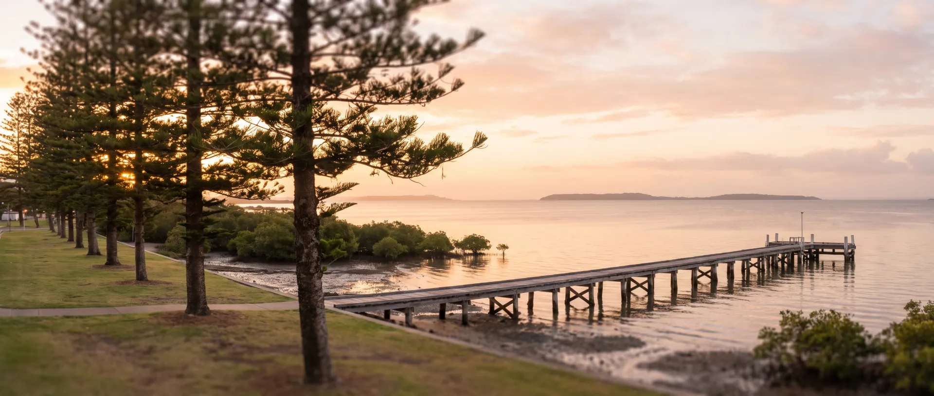 Timber jetty and mangroves on the Redlands bayside foreshore