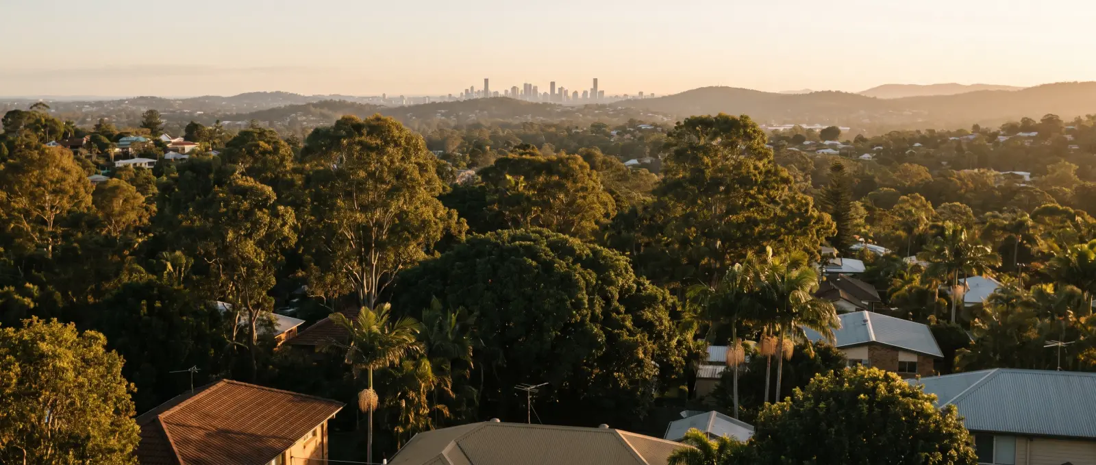 Brisbane’s southern suburbs under a subtropical tree canopy, seen from an elevated lookout